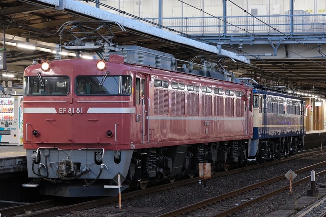 【JR東】EF65-1115秋田総合車両センター出場配給を大宮駅で撮影した写真