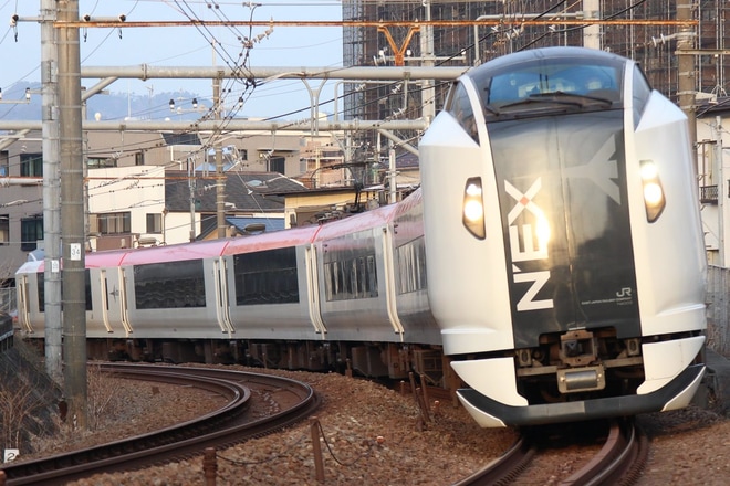 【JR東】E259系「成田エクスプレス」高尾乗り入れ終了を西八王子〜八王子間で撮影した写真