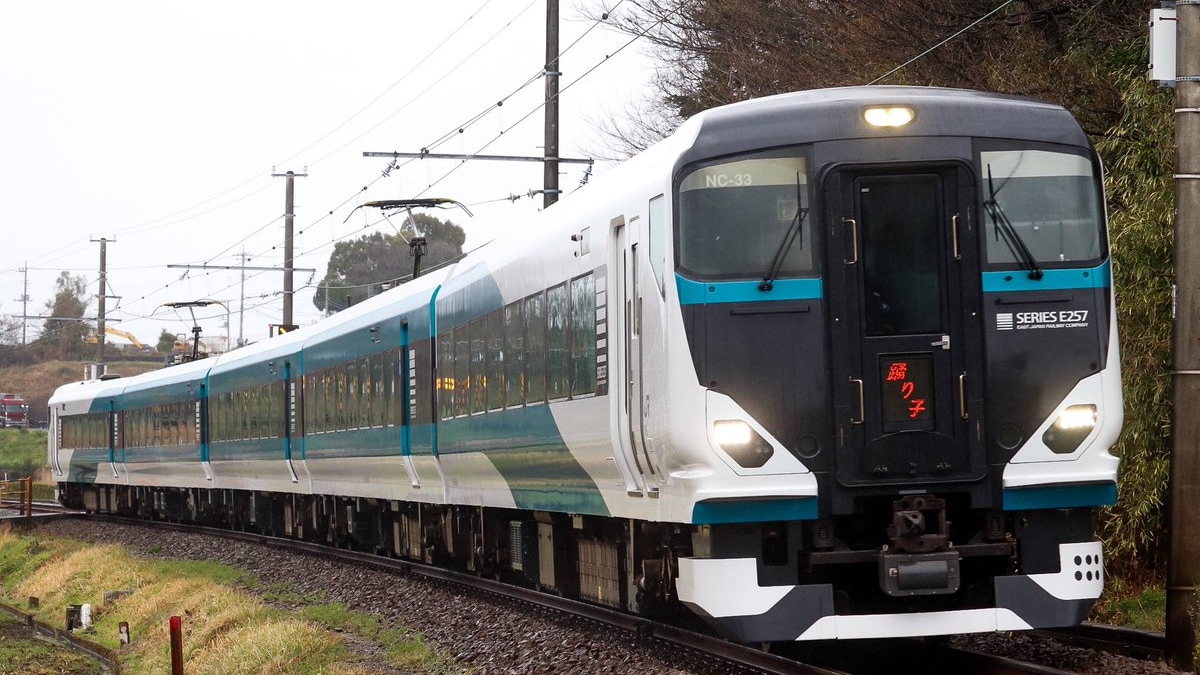 JR東】E257系2500番台営業運転開始とE257系運用拡大 |2nd-train鉄道 