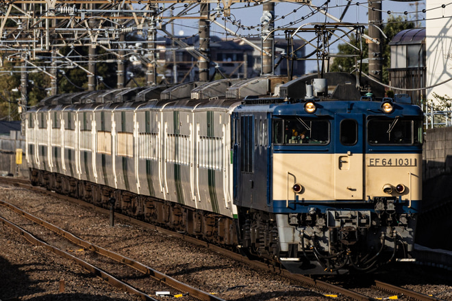 【JR東】185系A3編成廃車配給を新秋津駅で撮影した写真