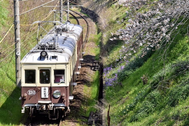 【JR四】キハ185系レトロカラー＆ことでんレトロ電車讃岐のレトロ列車ツアーを不明で撮影した写真