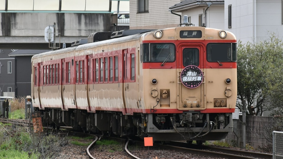 【JR西】津山夜桜列車の拡大写真