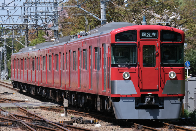【西武】9000系9103F(赤色)前照灯交換を萩山駅で撮影した写真