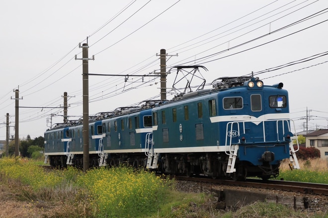【秩鉄】秩父鉄道貨物列車運転再開伴う機関車回送を不明で撮影した写真