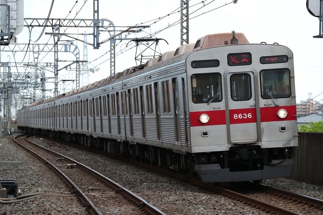 【東急】8500系8636F南栗橋へ臨時回送を越谷駅で撮影した写真