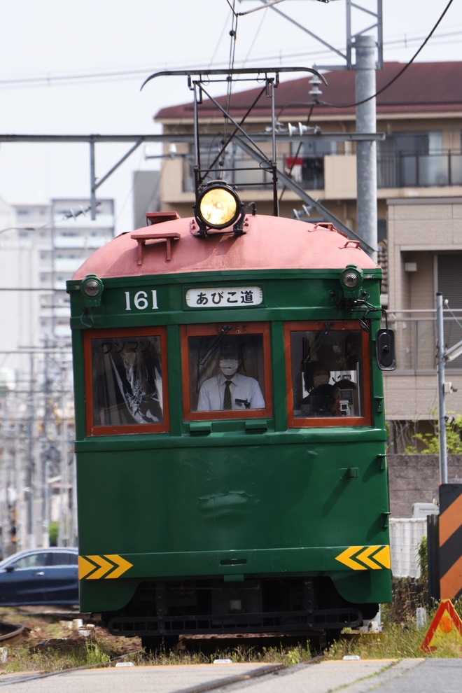 【阪堺】モ161形161号が事前予告無しで定期列車に充当