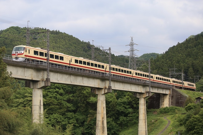 【西武】レッドアロークラシックの臨時特急電車を運転を芦ヶ久保～横瀬間で撮影した写真