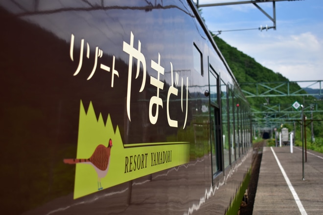 【JR東】快速「谷川岳もぐら」及び快速「谷川岳ループ」が運転を土合駅で撮影した写真