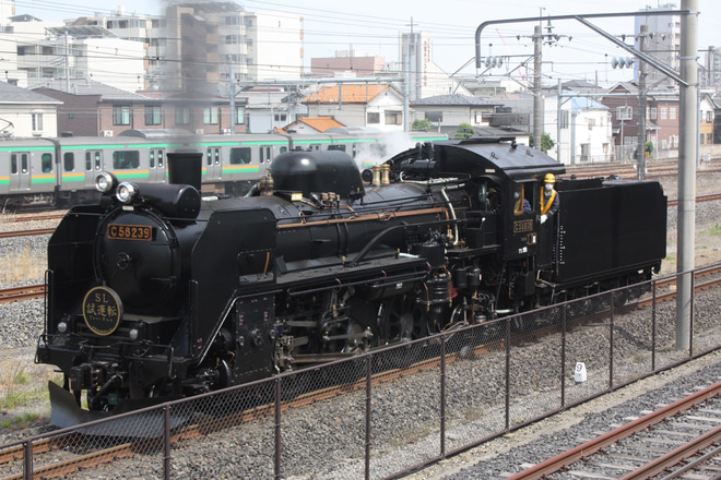 【JR東】C58-239大宮総合車両センター構内試運転を鉄道博物館で撮影した写真