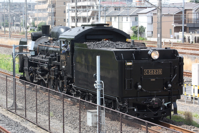 【JR東】C58-239大宮総合車両センター構内試運転を鉄道博物館で撮影した写真
