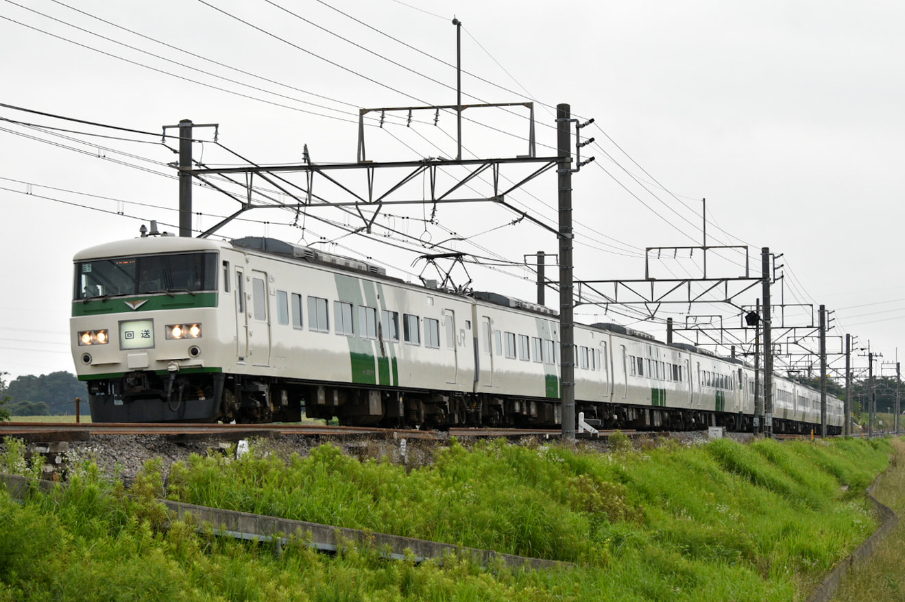 【JR東】185系をほぼ1日満喫する旅 高崎⇔鎌倉 日帰りの旅の拡大写真