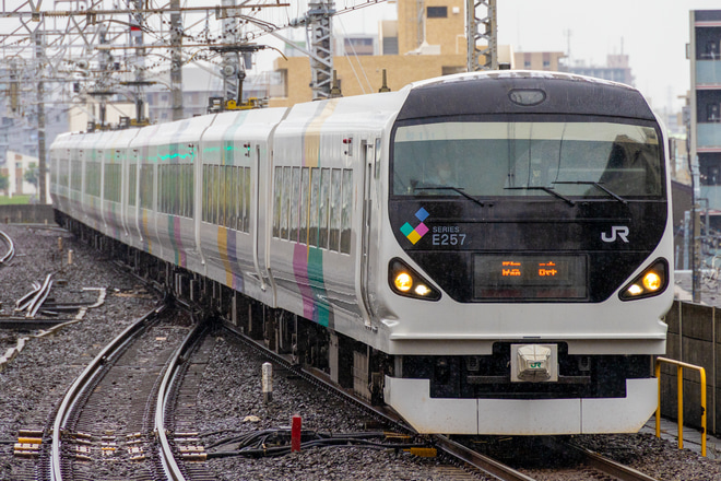 【JR東】新宿さざなみにE257系松本車充当(2021年6月)を市川駅で撮影した写真