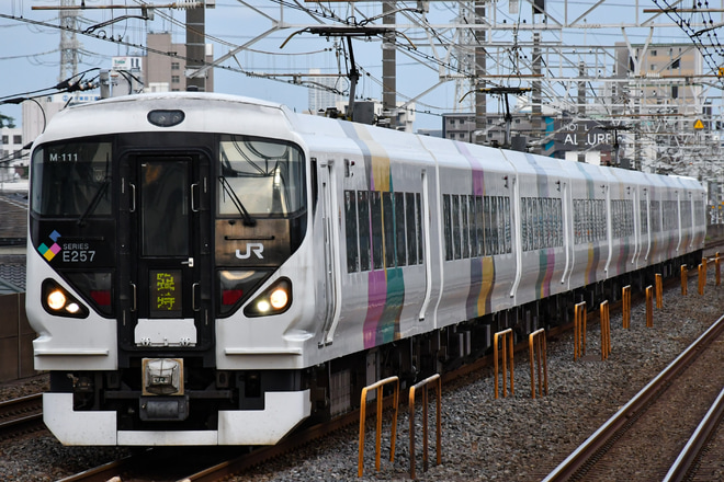 【JR東】新宿さざなみにE257系松本車充当(2021年6月)を下総中山駅で撮影した写真