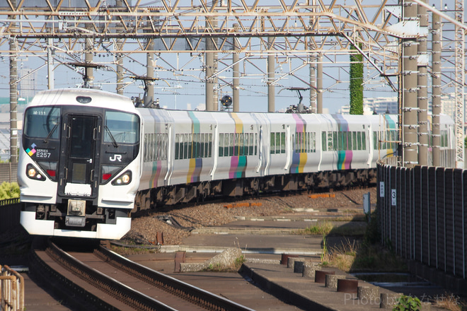 【JR東】E257系モトM-111編成 大宮総合車両センターへ返却を南船橋駅で撮影した写真