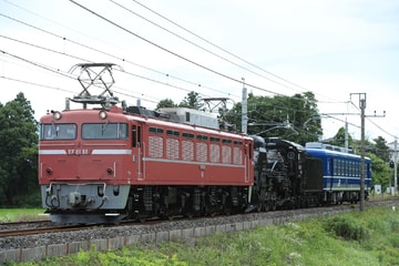 【JR東】C58-239盛岡へ配給輸送