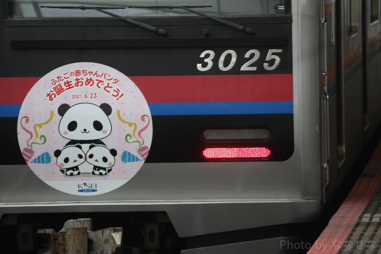 【京成】「ふたごの赤ちゃんパンダ」誕生記念ヘッドマークの拡大写真