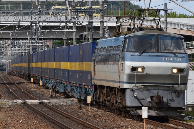 【JR貨】2059レ(カンガルーライナー)をEF66-123が牽引を島本駅で撮影した写真