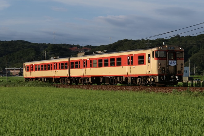 【JR西】キハ47国鉄急行色使用の団体臨時列車つるやま号運転を不明で撮影した写真