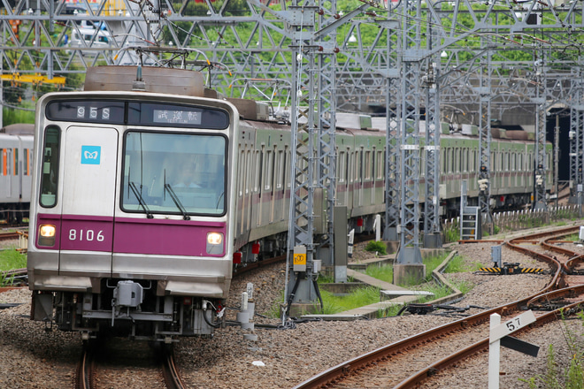 【メトロ】8000系8106F鷺沼工場出場試運転を梶ヶ谷駅で撮影した写真