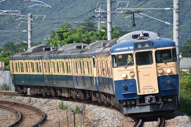 しな鉄】115系横須賀色5両運転 |2nd-train鉄道ニュース