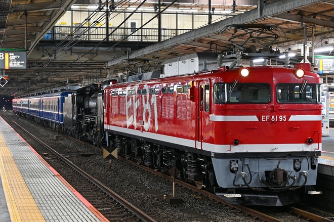 【JR東】EF81-95牽引でSL 東北 DC 陸羽東線号のD51送り込み配給輸送