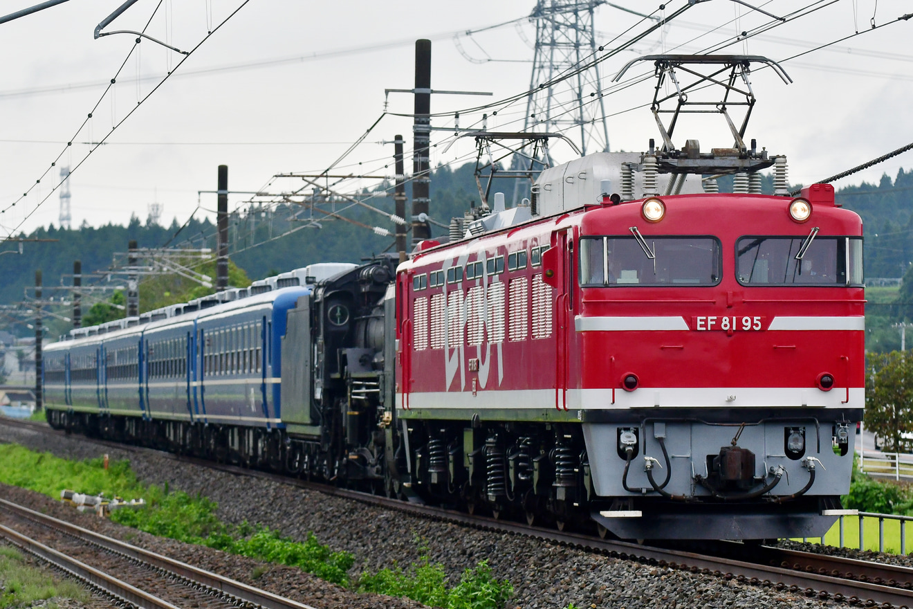 【JR東】EF81-95牽引でSL 東北 DC 陸羽東線号のD51送り込み配給輸送の拡大写真