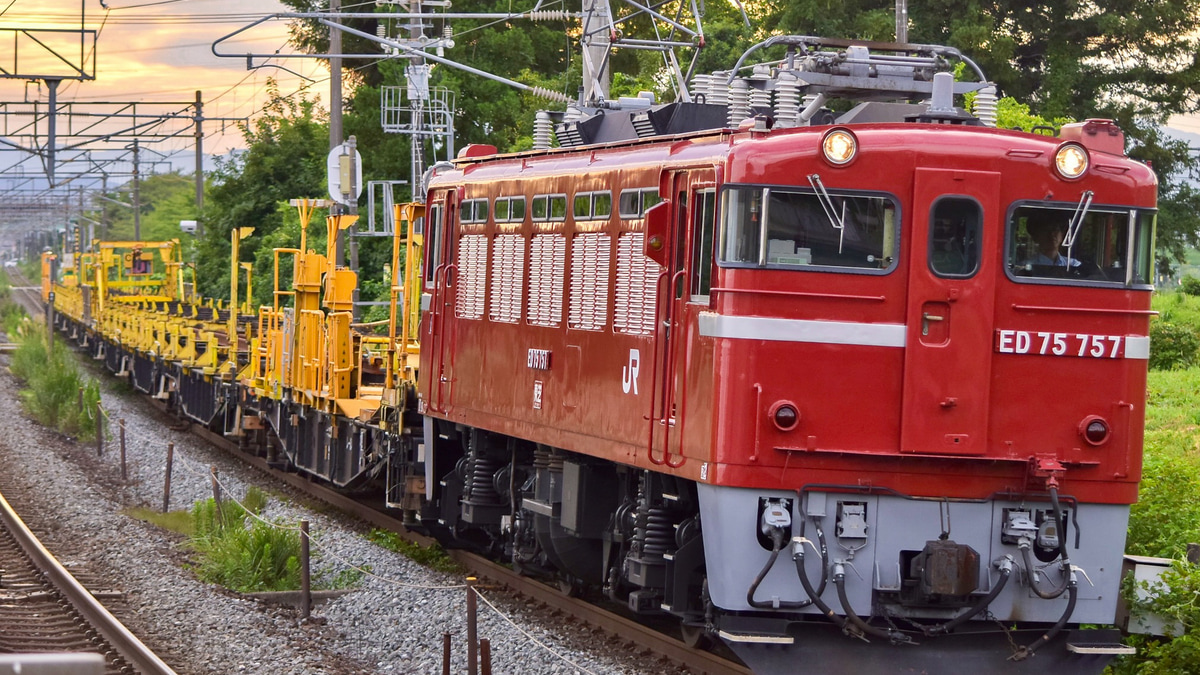 SALEお得チキ5500ロンチキJR西日本向日町2022年仕様 貨物列車
