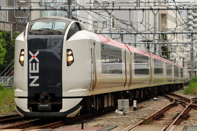 【JR東】E259系Ne022編成大宮総合車両センター入場回送を新宿駅で撮影した写真