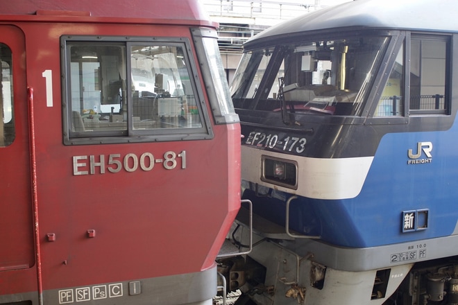 【JR貨】EH500-81大宮車両所入場を大宮駅で撮影した写真