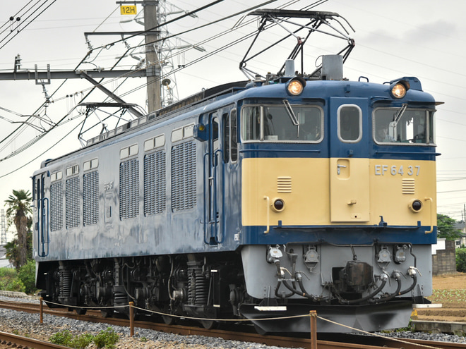 【JR東】EF64-37 鉄道博物館展示送り込みを本庄～岡部間で撮影した写真