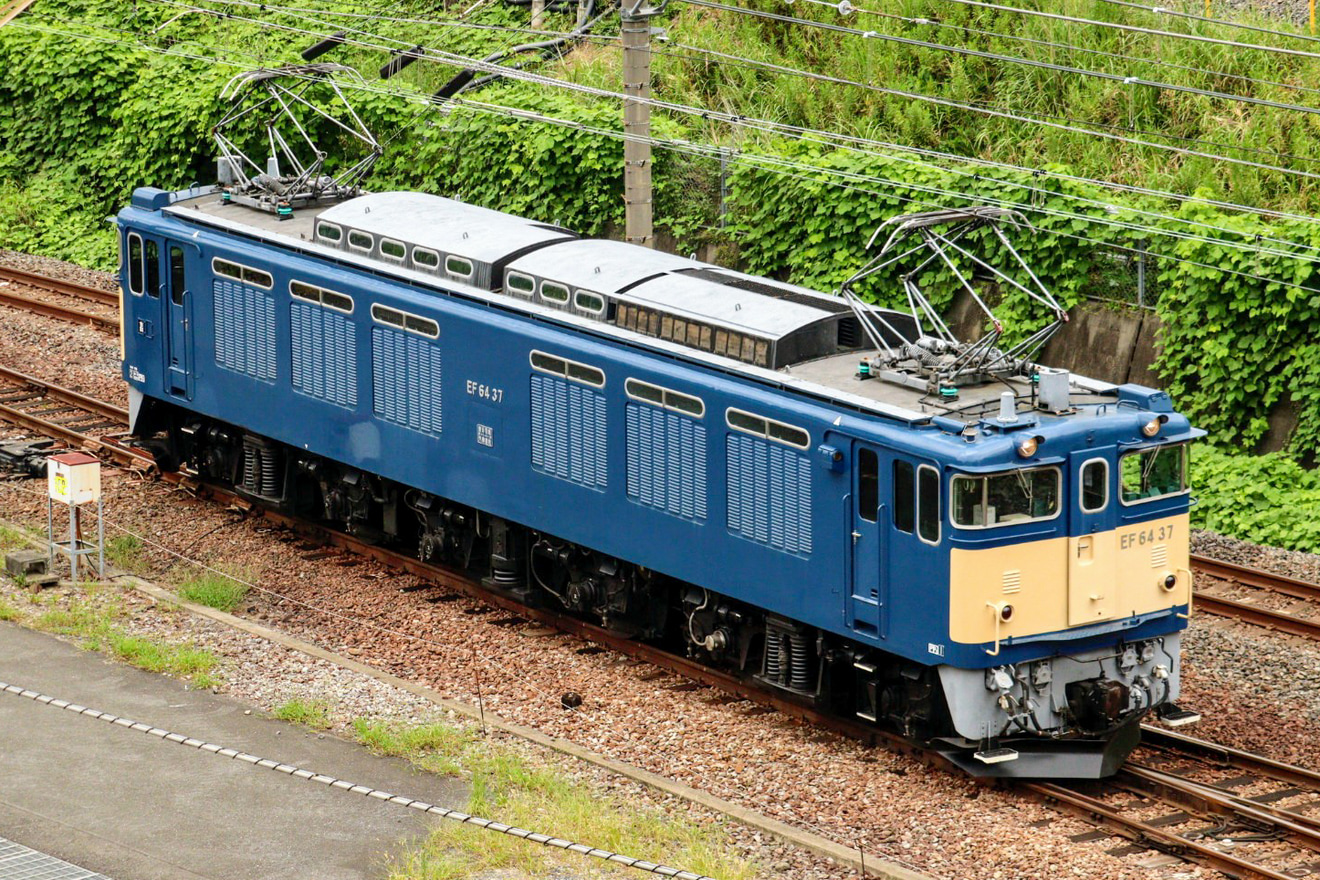 【JR東】EF64-37 鉄道博物館展示送り込みの拡大写真