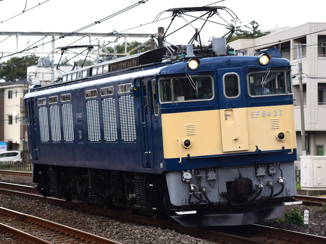 【JR東】EF64-37 鉄道博物館展示送り込みを宮原駅で撮影した写真