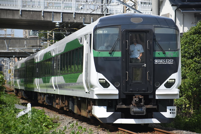 【JR東】E257系5500番台OM-51編成新金貨物線で乗務員訓練