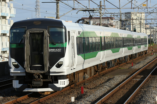 【JR東】E257系5500番台OM-51編成新金貨物線で乗務員訓練