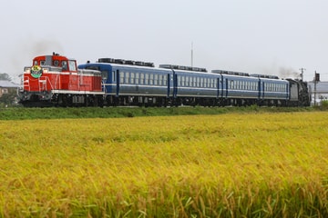 【JR東】DL東北DC 陸羽東線号運転
