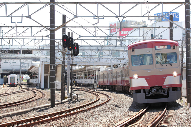 【西武】新101系247Fが清瀬へ回送を所沢～秋津間で撮影した写真