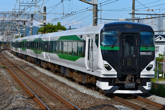 【JR東】E257系5500番台OM-52編成が東海道本線・東海道貨物線で乗務員訓練を小田原駅で撮影した写真