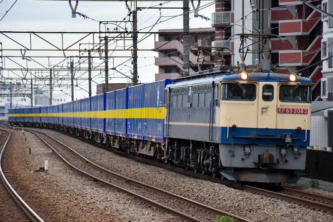 【JR貨】西濃コンテナで統一された4072レがEF65-2083で牽引を新座駅で撮影した写真