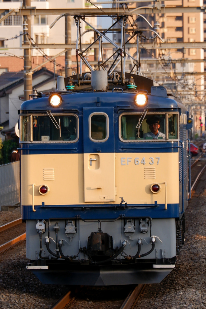 【JR東】EF64-37鉄道博物館展示終了に伴う所属区返却回送を北上尾駅で撮影した写真