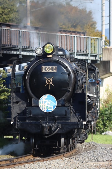 1a08afe79e7fce39845f8648754837