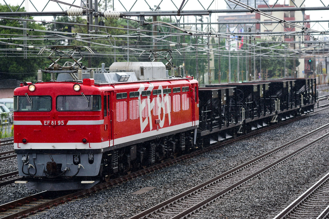 【JR東】EF81-95牽引の宇都宮配給運転(20211013)を浦和～赤羽間で撮影した写真