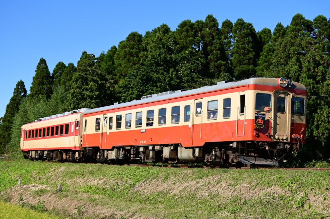【いすみ】キハ52-125がハロウィン列車にの拡大写真