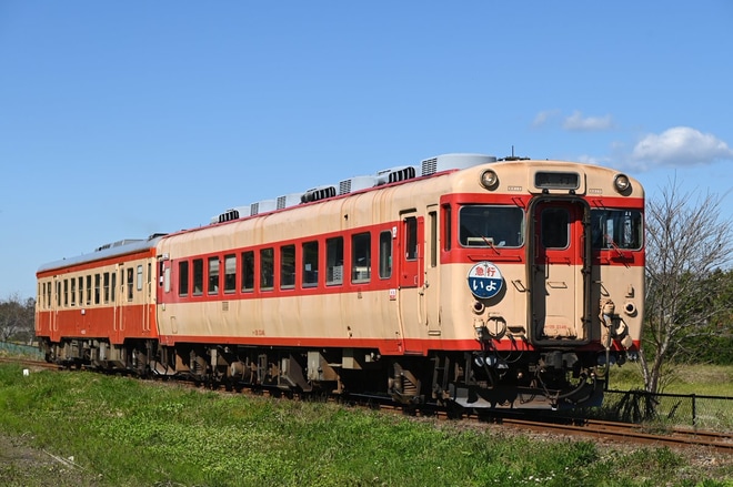 【いすみ】キハ52-125がハロウィン列車にを不明で撮影した写真