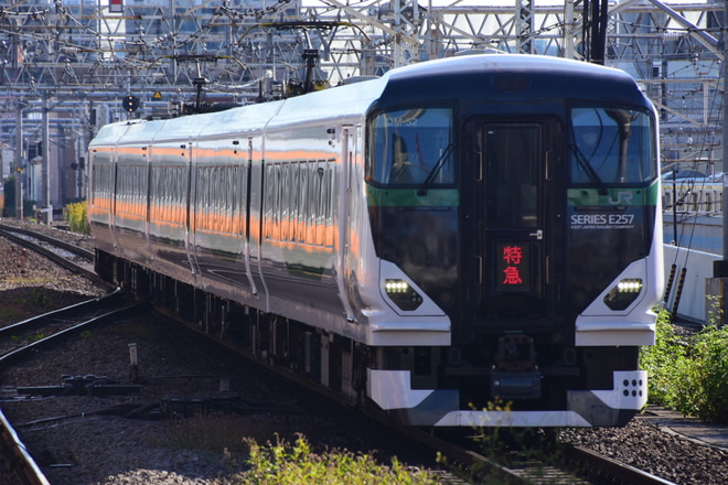 【JR東】特急 おうめ 新宿青梅奥多摩号運転を中野駅で撮影した写真