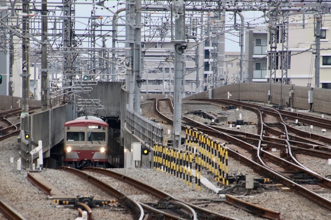 【西武】新101系1259F(赤電）が豊島園へを練馬駅で撮影した写真
