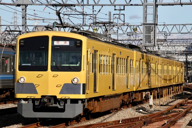 【西武】新101系263Fが豊島園へを保谷～ひばりヶ丘間で撮影した写真