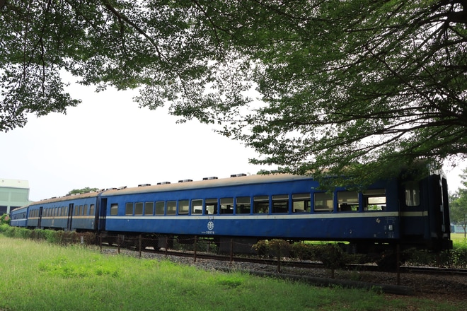 【台鐵】藍皮旧型客車の藍皮解憂號化改造に伴う秦陽入場回送を不明で撮影した写真