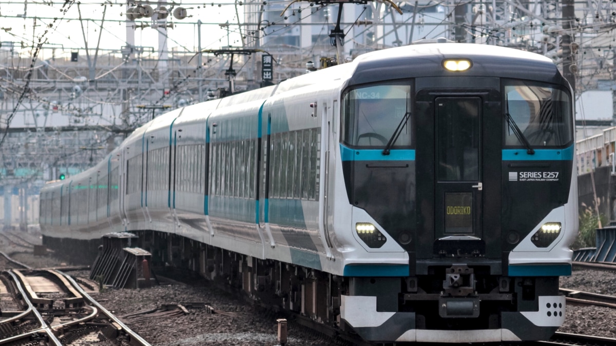 JR東】E257系2500番台NC-34編成のスカートへ黒丸模様 |2nd-train鉄道 