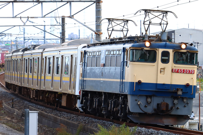 【伊豆急】209系マリC601編成4両 甲種輸送を吉川駅で撮影した写真