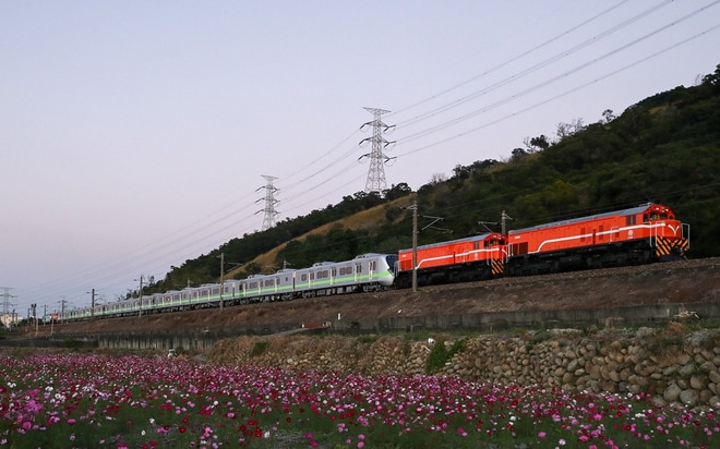 【台鐵】EMU900EMU913編成が輸送を不明で撮影した写真
